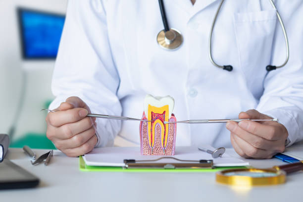 Best Emergency Care for Gum Disease in Aitkin, MN